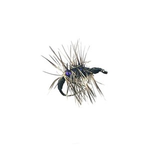 fly fishing fly