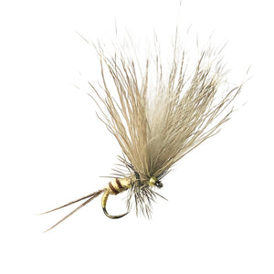 fly fishing fly