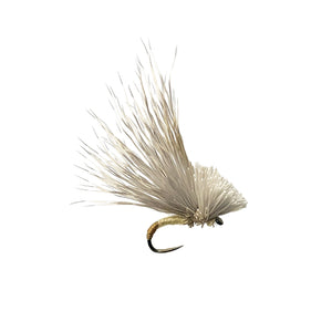 fly fishing fly