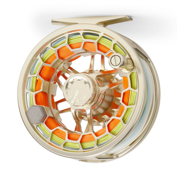 gold reel on white background
