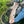 Load image into Gallery viewer, man showing fish over fishing net
