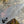 Load image into Gallery viewer, fish on its side under water
