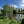 Load image into Gallery viewer, woman on river bank fly fishing
