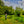 Load image into Gallery viewer, woman on the riverbank fly fishing
