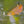 Load image into Gallery viewer, trout cathching fly
