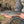 Load image into Gallery viewer, man holding fish
