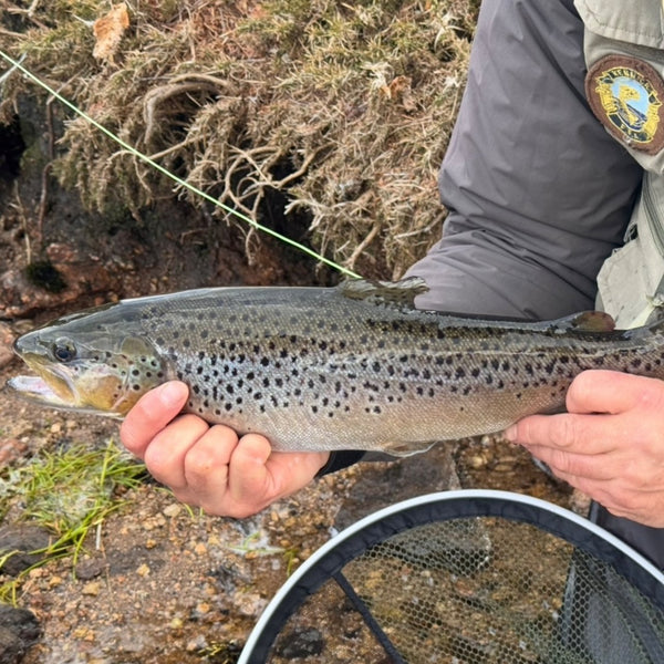 man holding fish