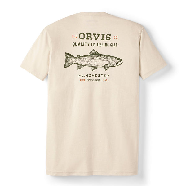 Trout Sketch Graphic T-Shirt