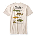 Freshwater Fish Graphic T-Shirt