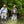 Load image into Gallery viewer, men and woman wading in river
