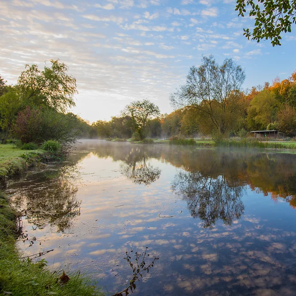 The Catch Series: Stillwater Trout Experience - Sussex