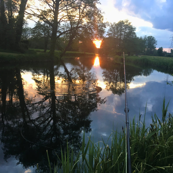 The Catch Series: Chalkstream Mayfly Experience - River Test - Hampshire