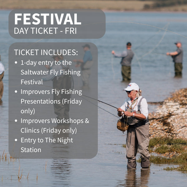 festival day ticket friday info