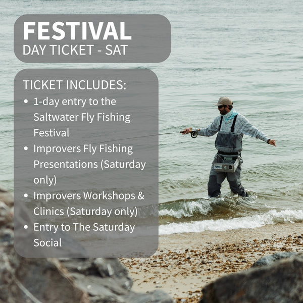 festival day ticket saturday