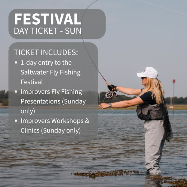 Festival day ticket info