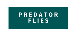 Predator Flies