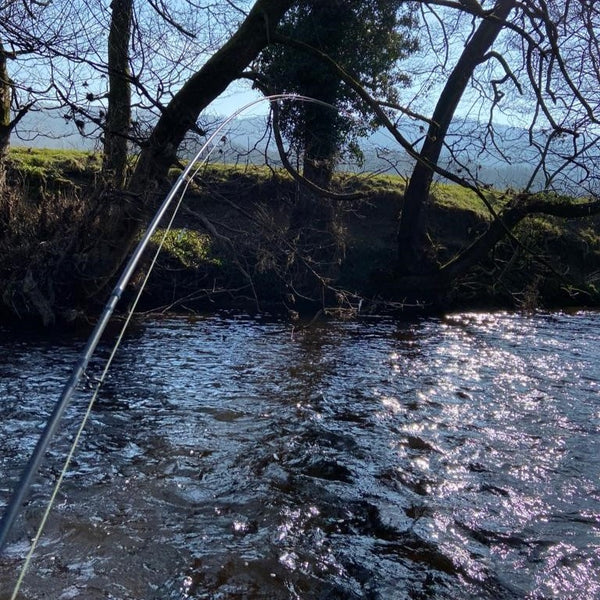 The Catch Series: Winter Grayling Experience - Derbyshire