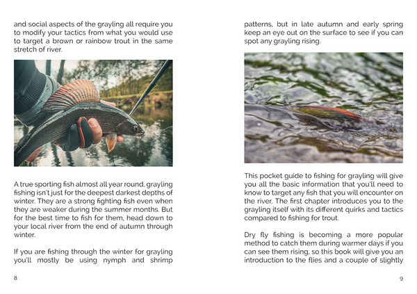 FLY Series: Fishing for Grayling