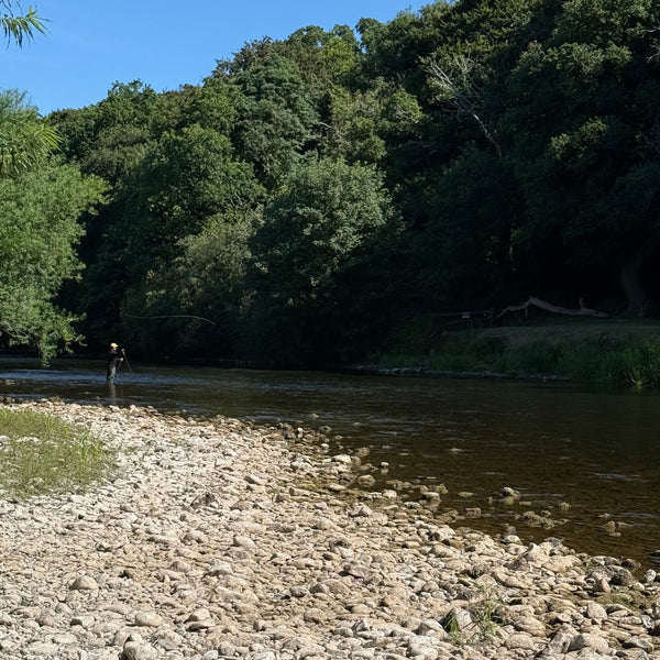 man fly fishing in river surrounded by forrest