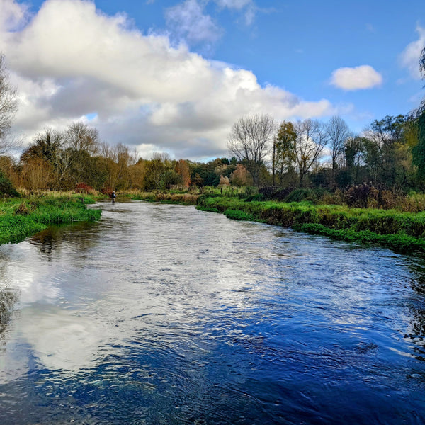 Abbots Worthy Beat Booking - Grayling Period