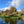 Load image into Gallery viewer, Abbots Worthy Beat Booking - Grayling Period
