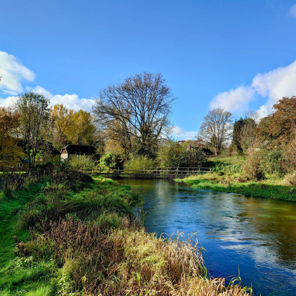 Novice Fly Fishing Chalkstream Experience - Hampshire