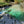 Load image into Gallery viewer, Krka River Lodge
