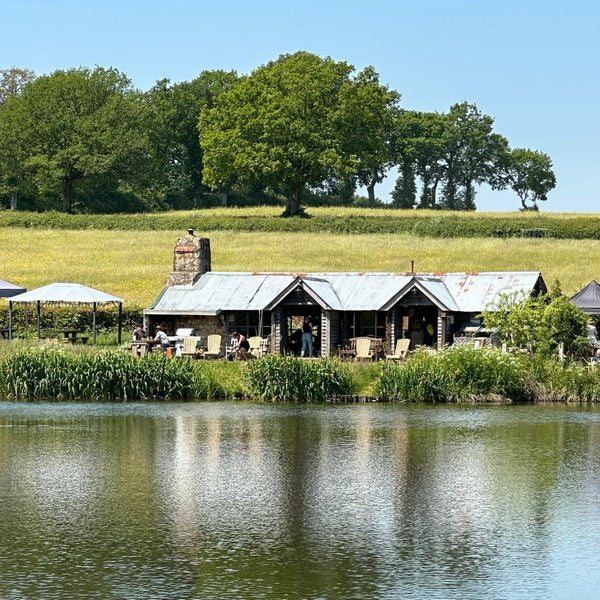 house next to lake with green fields in the background