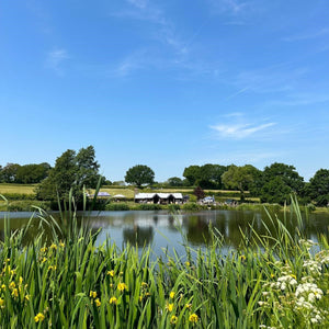 lake surrounded by greenery and blue skies