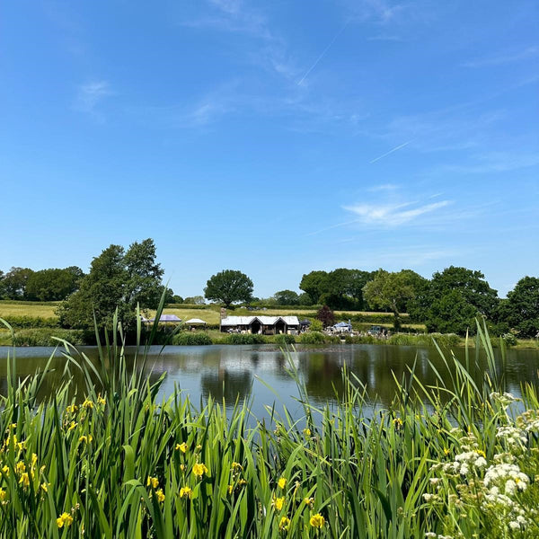 lake surrounded by greenery and blue skies