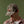 Load image into Gallery viewer, man looking fown wearing camouflage cap from Fera
