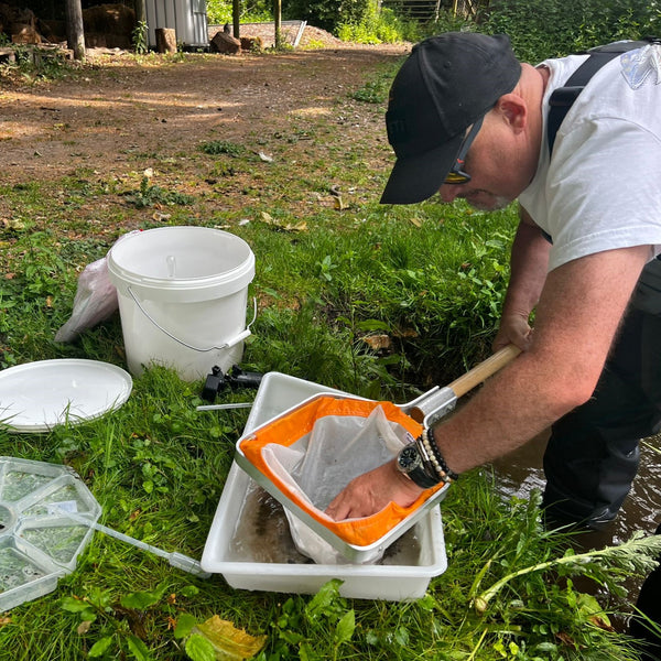 The Catch Series: Match the Hatch - Hampshire