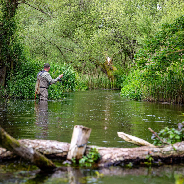 Hosted Grayling Day on the River Test with Olly Newberry - Hampshire