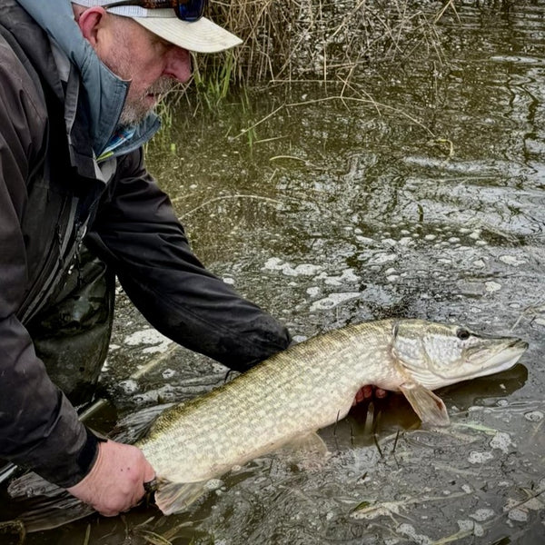 Pike on the Fly Somerset Fly Fishing