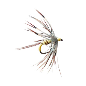 fishing fly on white background