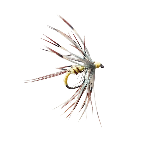 fishing fly on white background
