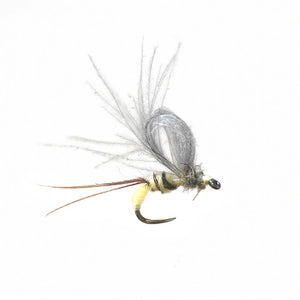 fishing fly on white background