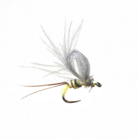 fishing fly on white background