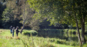 Anglers on the Orvis beat on the river Test at Timsbury