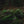 Load image into Gallery viewer, Superfine® Graphite 7&#39; 9&quot; 5-Weight Fly Rod

