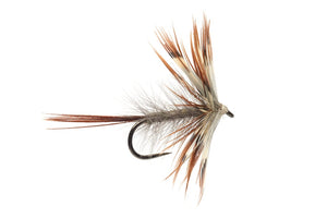 fly fishign fly