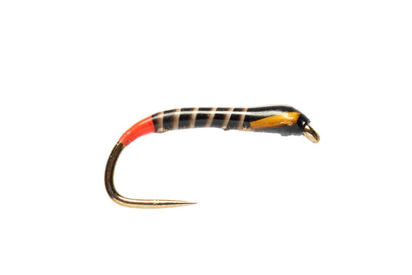 fly fishing fly