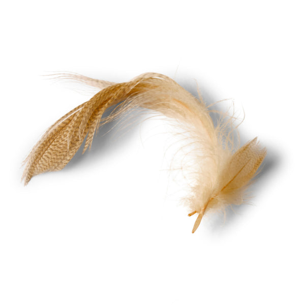Feathers Side Nat Mallard   Image 1