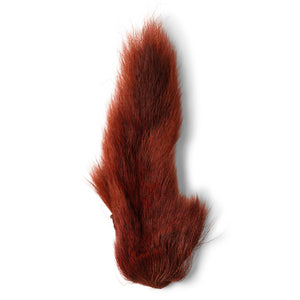 Prime Northern Bucktails Root