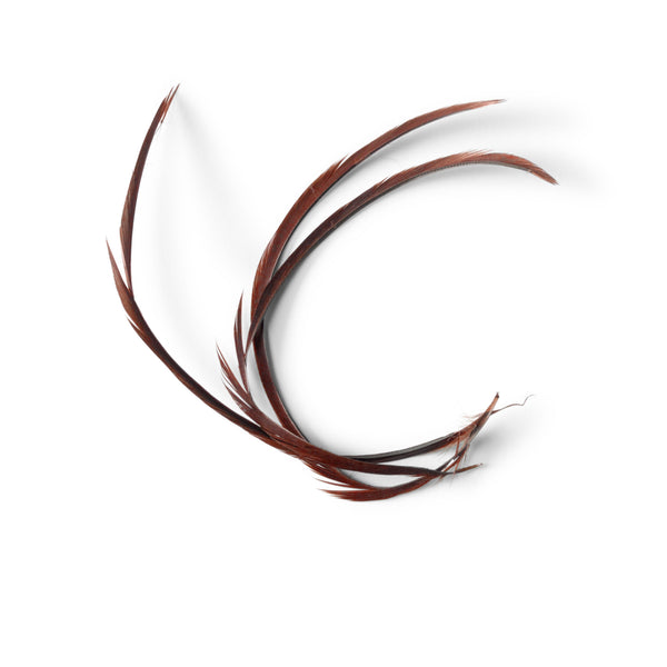 Goose Biots