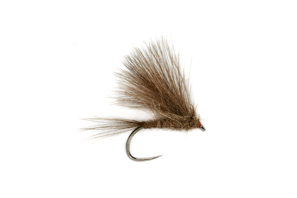 Roza CDC Olive Barbless