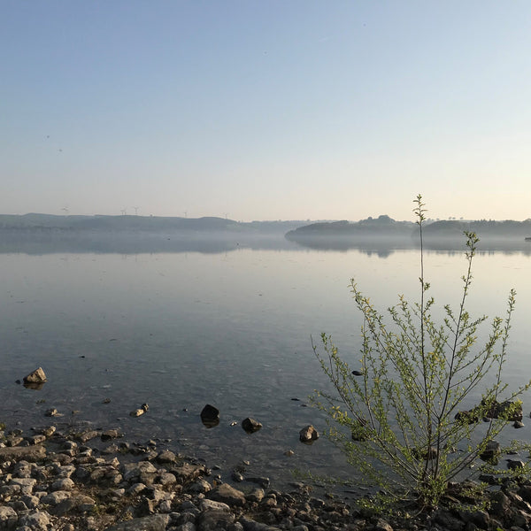 The Catch Series: Reservoir Trout From A Boat Experience