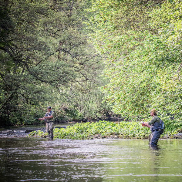 The Catch Series: Spring Trout Experience on the Derbyshire Derwent