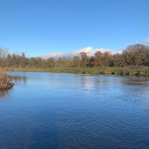 The Catch Series: Upper River Annan Grayling Experience
