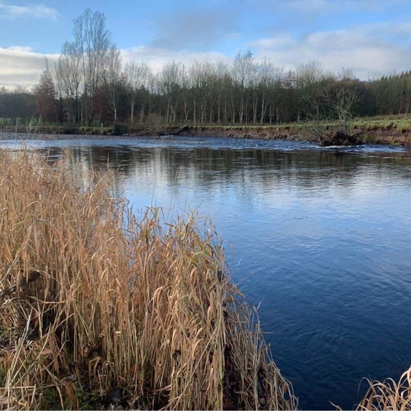 The Catch Series: Upper River Annan Grayling Experience